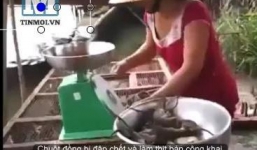 Clip: Cận cảnh chuột đồng bị đập chết và làm thịt ở miền Tây